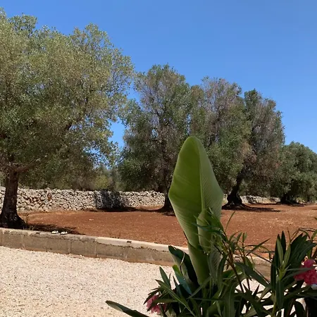 Trullo Aristea 切列梅萨皮卡